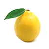 citron